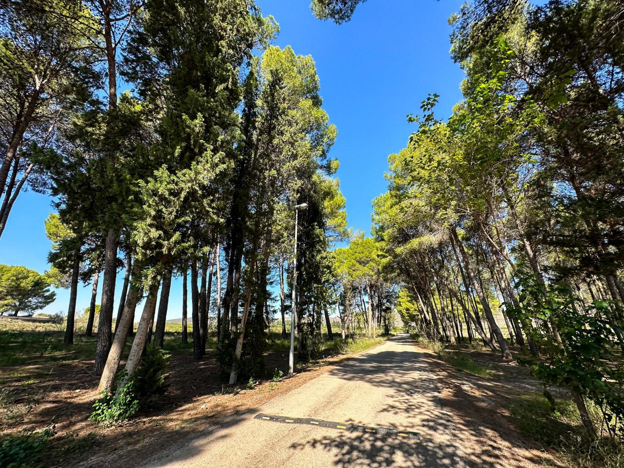 Casa Rural Los Pinos Valmuel ภายนอก รูปภาพ