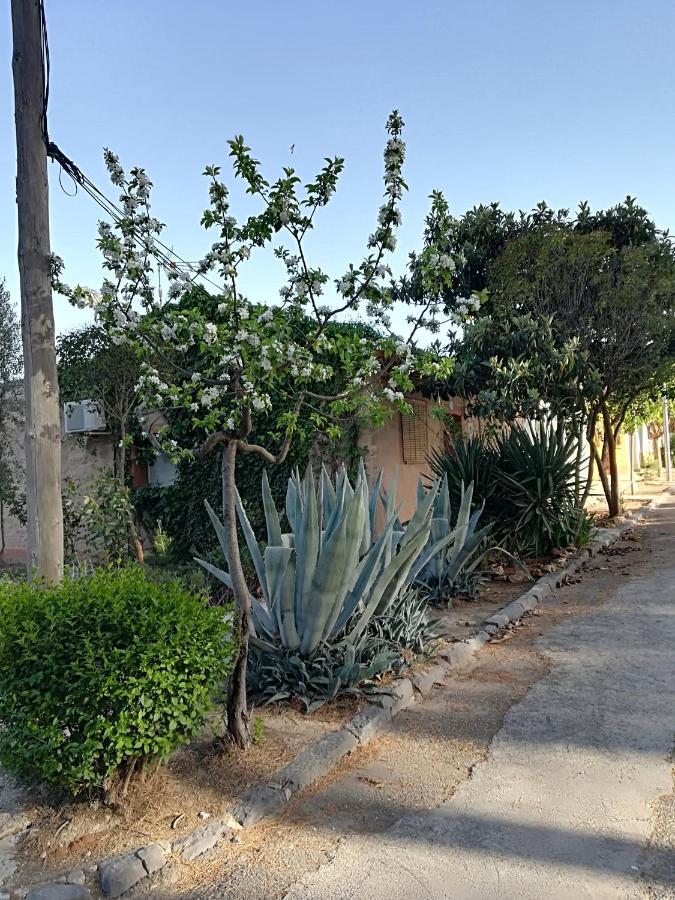 Casa Rural Los Pinos Valmuel ภายนอก รูปภาพ
